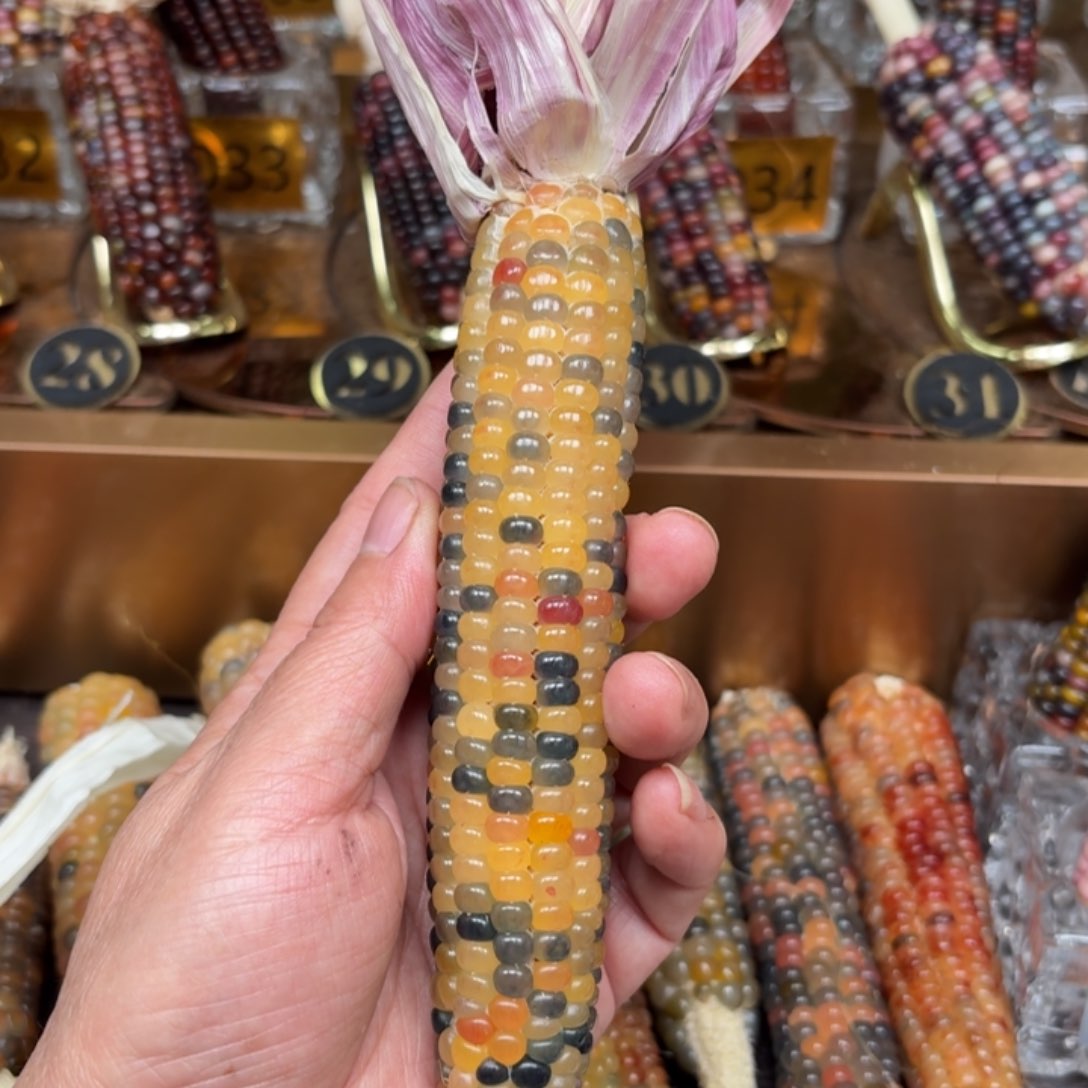 柏香籽/百香籽吊坠盐***王