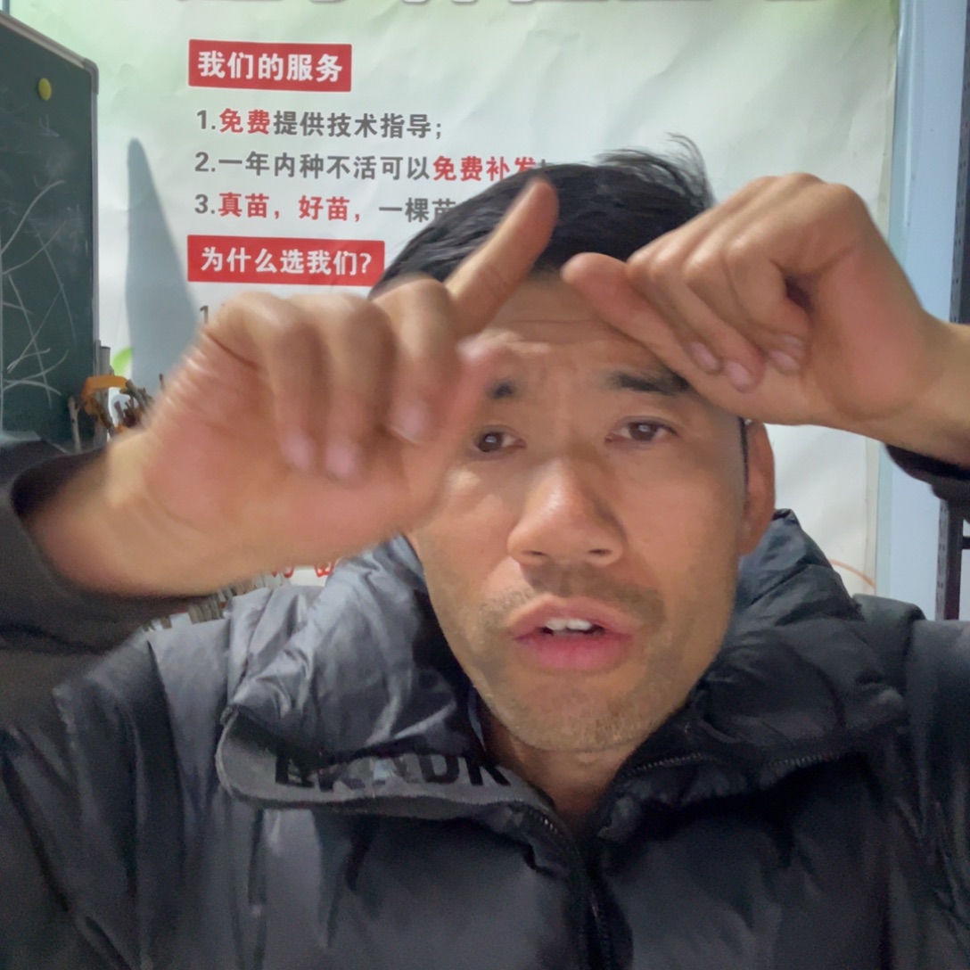 当前无花栽培后可以开花拧巴