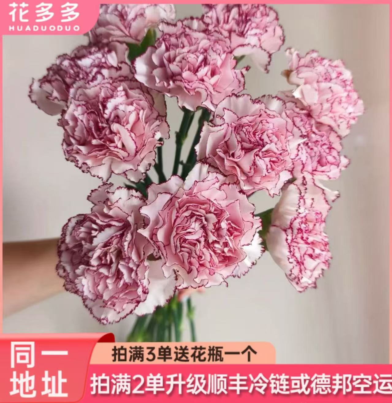 【彩蝶康乃馨20支】全场鲜花任意满两单升级冷链 三单送花瓶