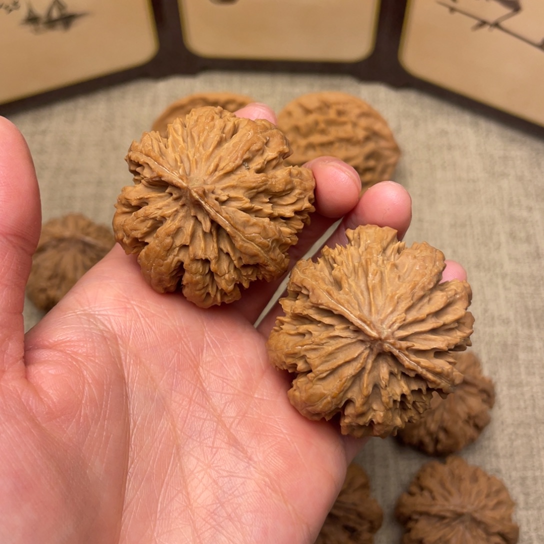 大****核桃秦岭核桃29号