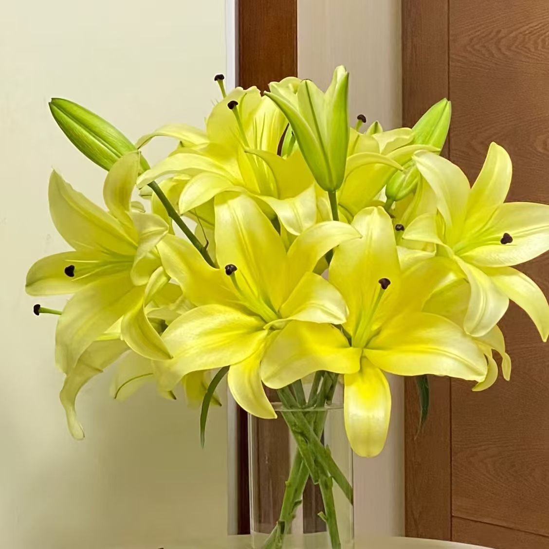 5枝黄天霸双头百合10个花苞 (两单发顺丰或京东快递)