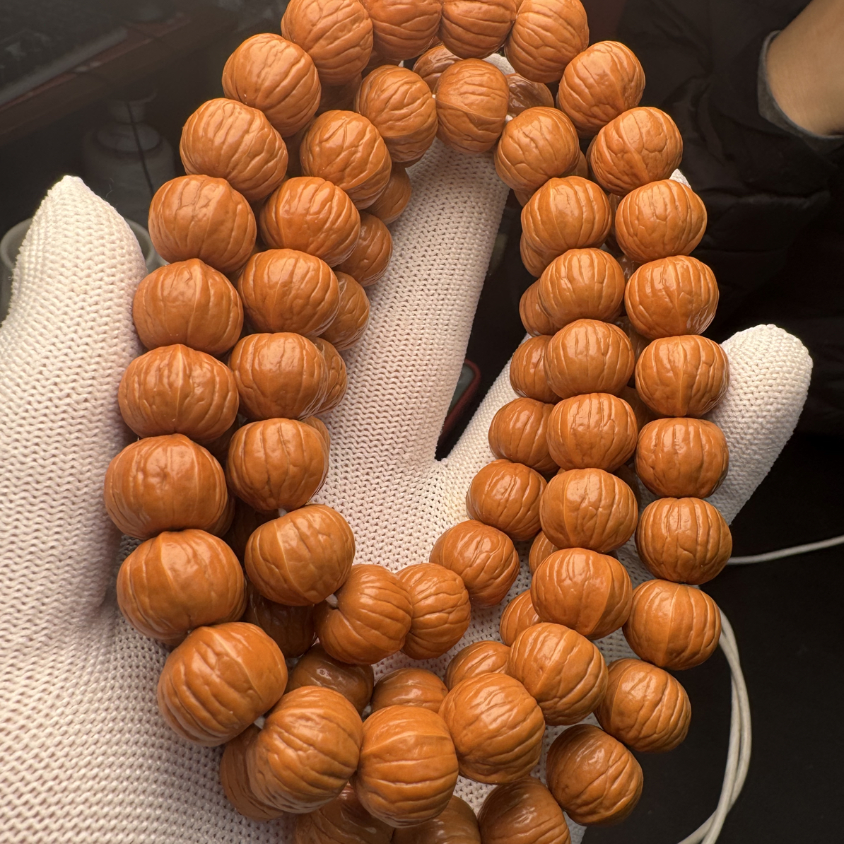 双歧南瓜脖挂 干刷打底 精挑88颗籽 尺寸13-14