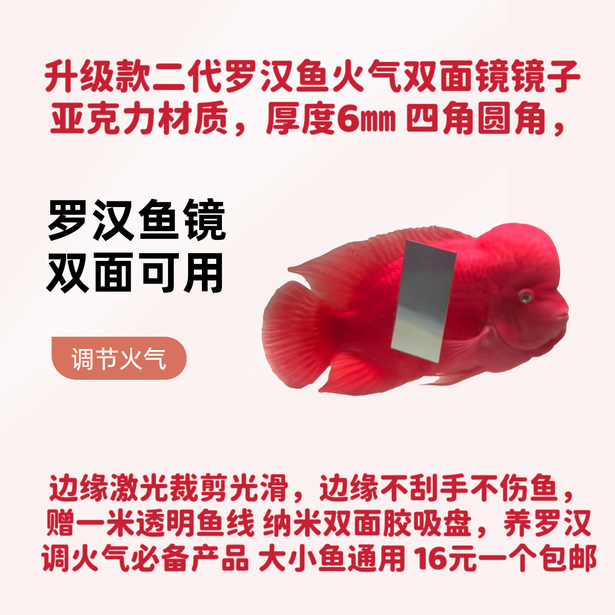 罗汉鱼火气镜 双面镜 调节火气 增头