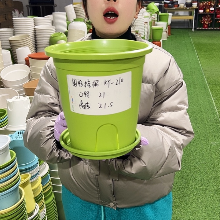 正品圆控口21高21果绿8只带托