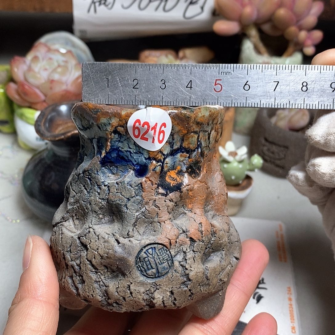 红陶拍5送一个小