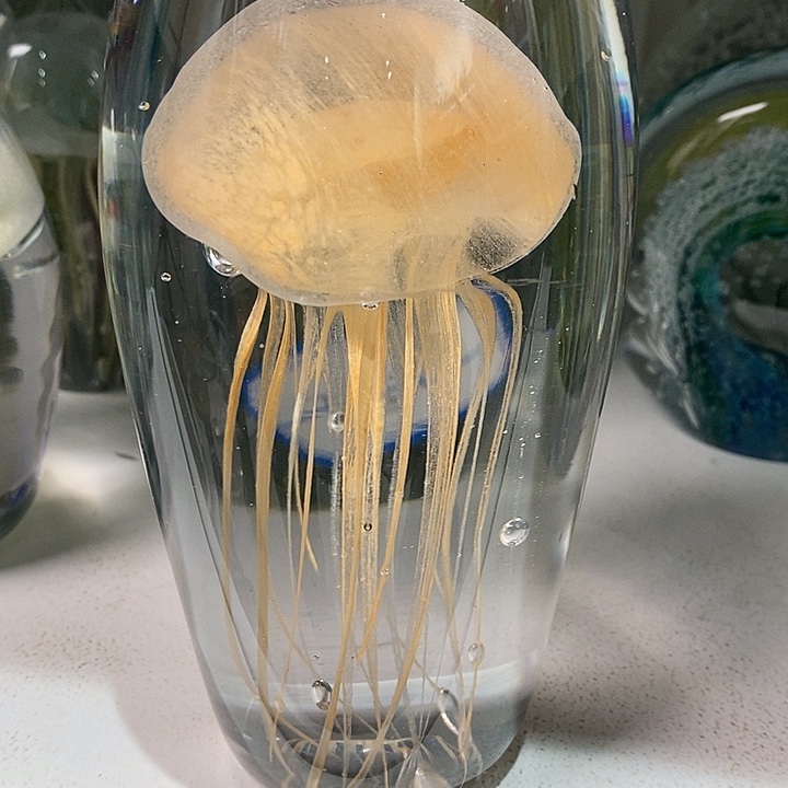 微瑕12223322222355688