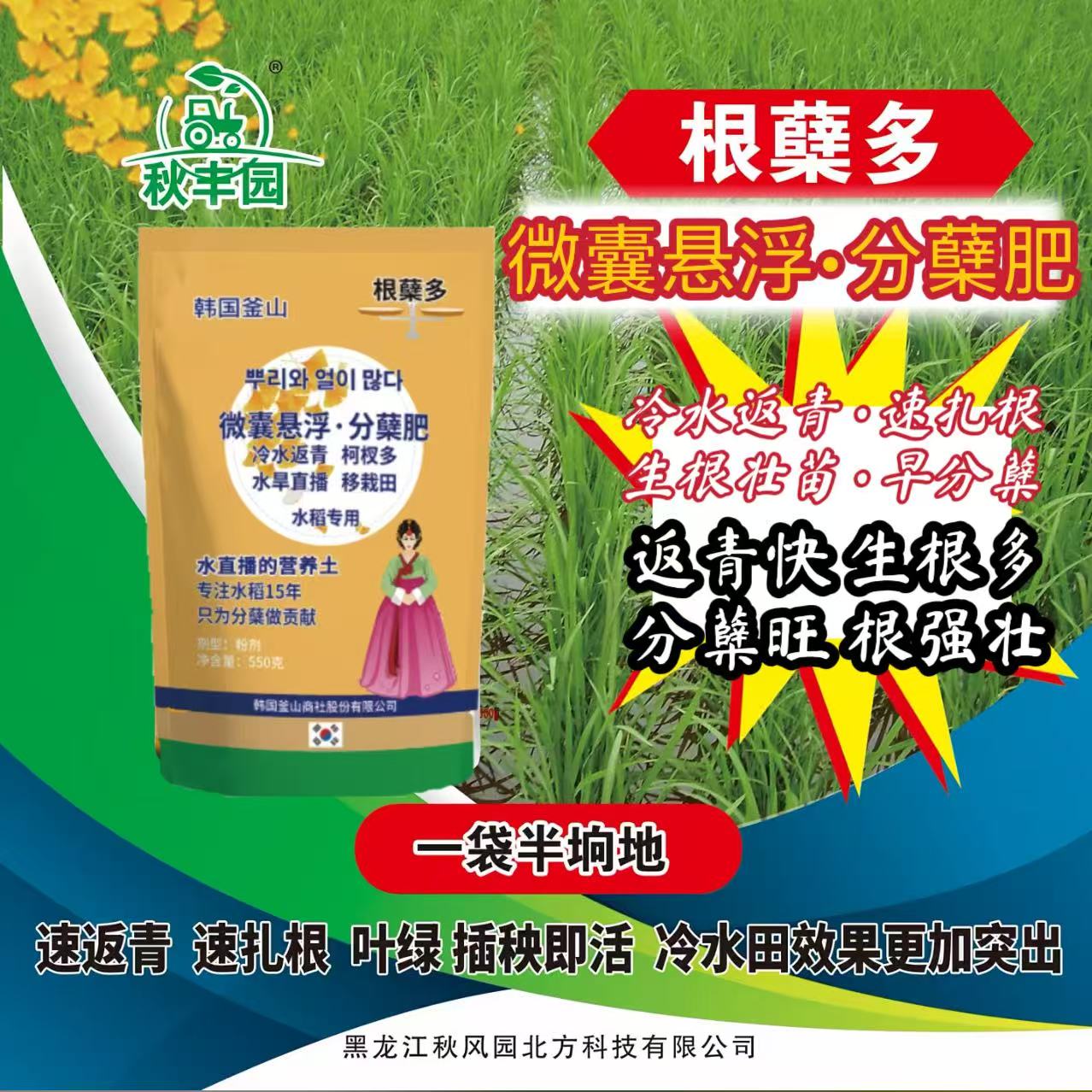 （韩国釜山）微囊悬浮•分蘖肥：冷水返青速扎根生根壮苗早分蘖。