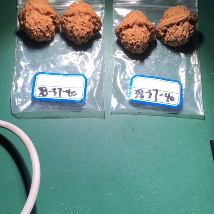 啊***曾文玩核桃吊坠南疆25