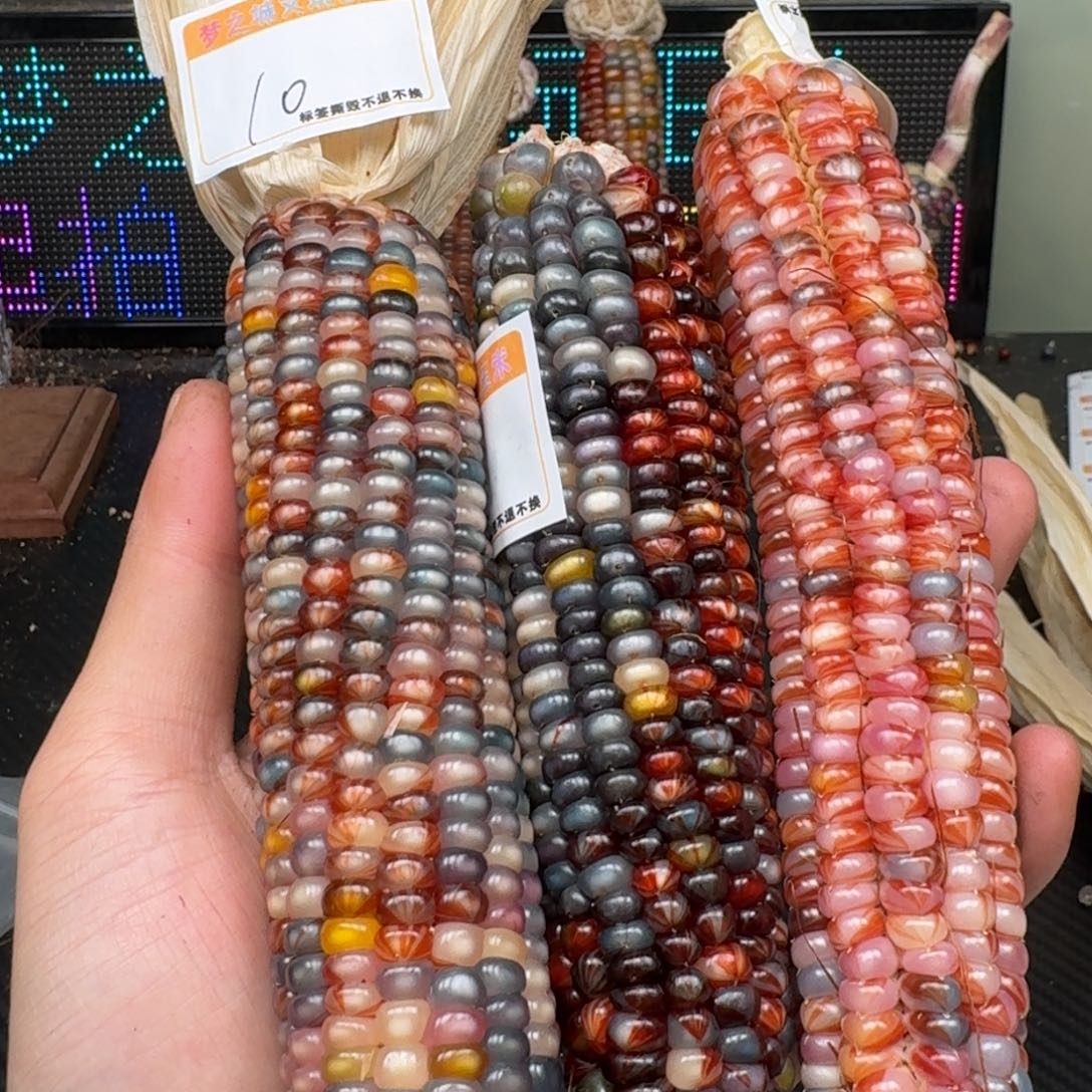 柏香籽/百香籽吊坠*️