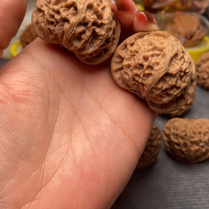 数*题精品宫灯玉玺狮子头