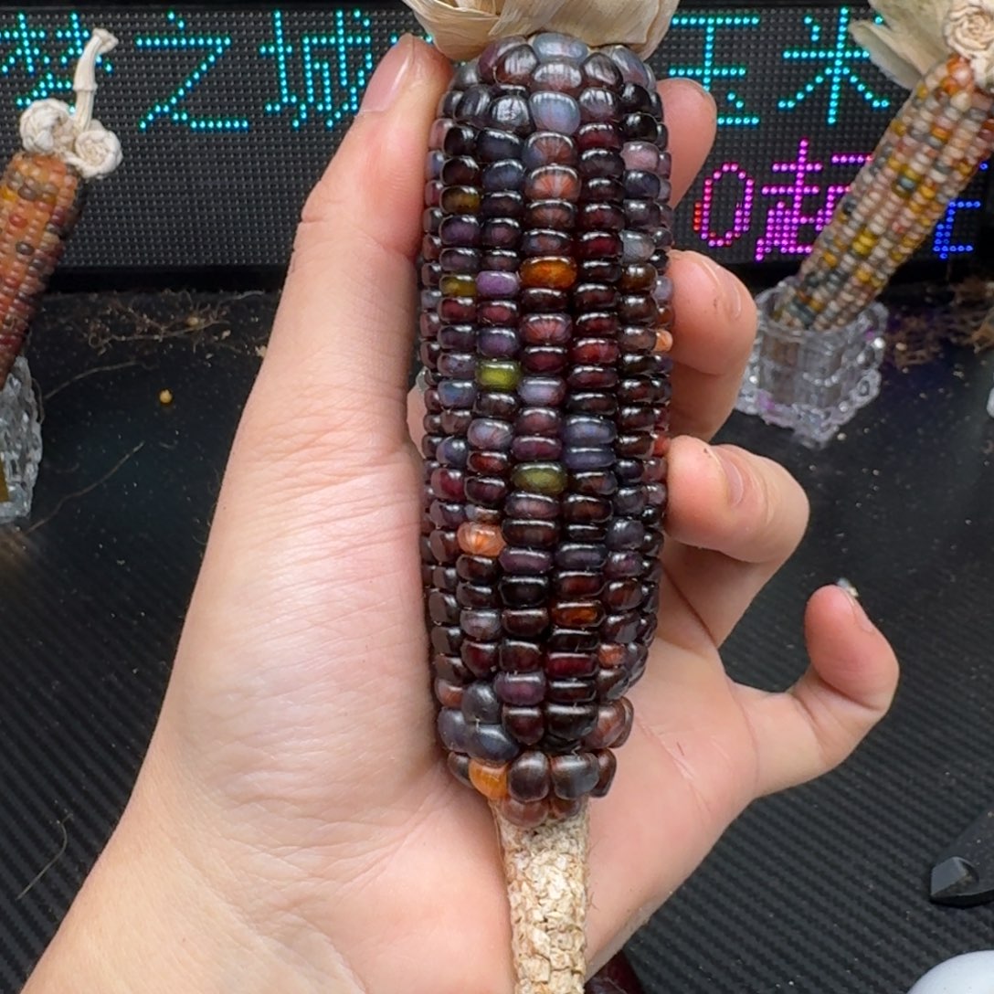 柏香籽/百香籽吊坠米*