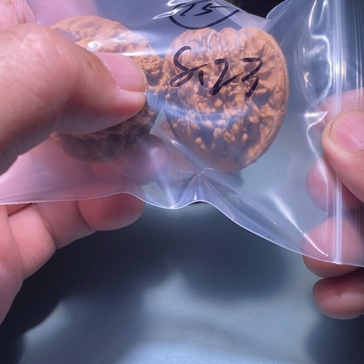 心***灬核桃15呃呃呃呃呃呃呃