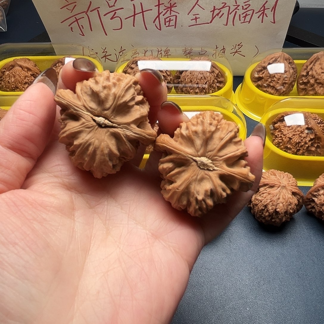 核桃41尺寸三角白狮子