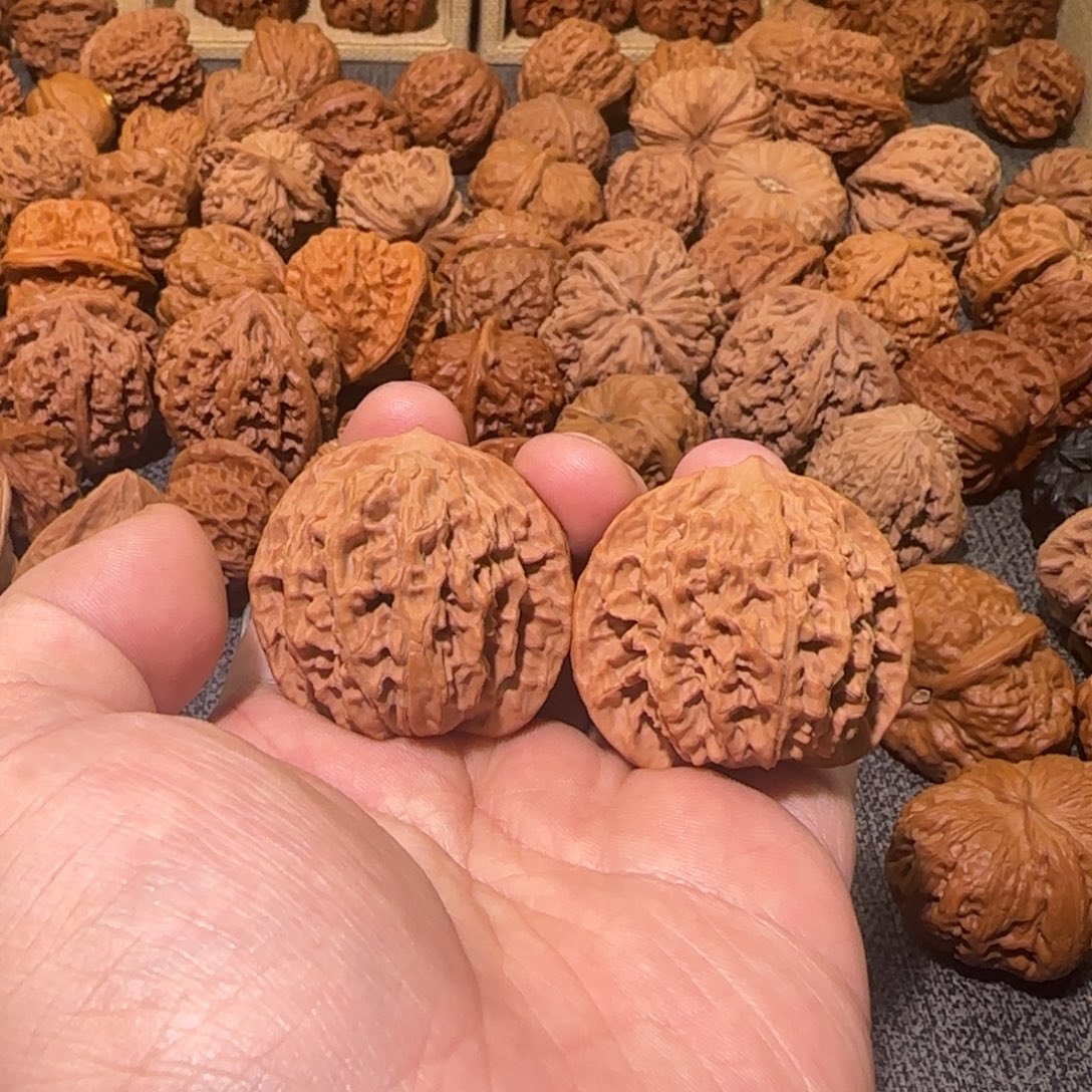 文玩核桃把件41盘龙纹