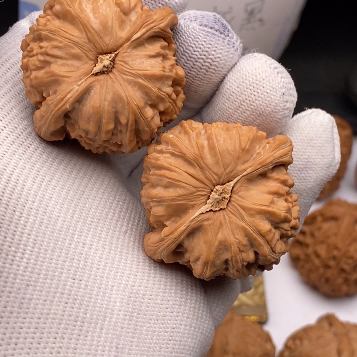 文玩核桃把件w**s白狮子42