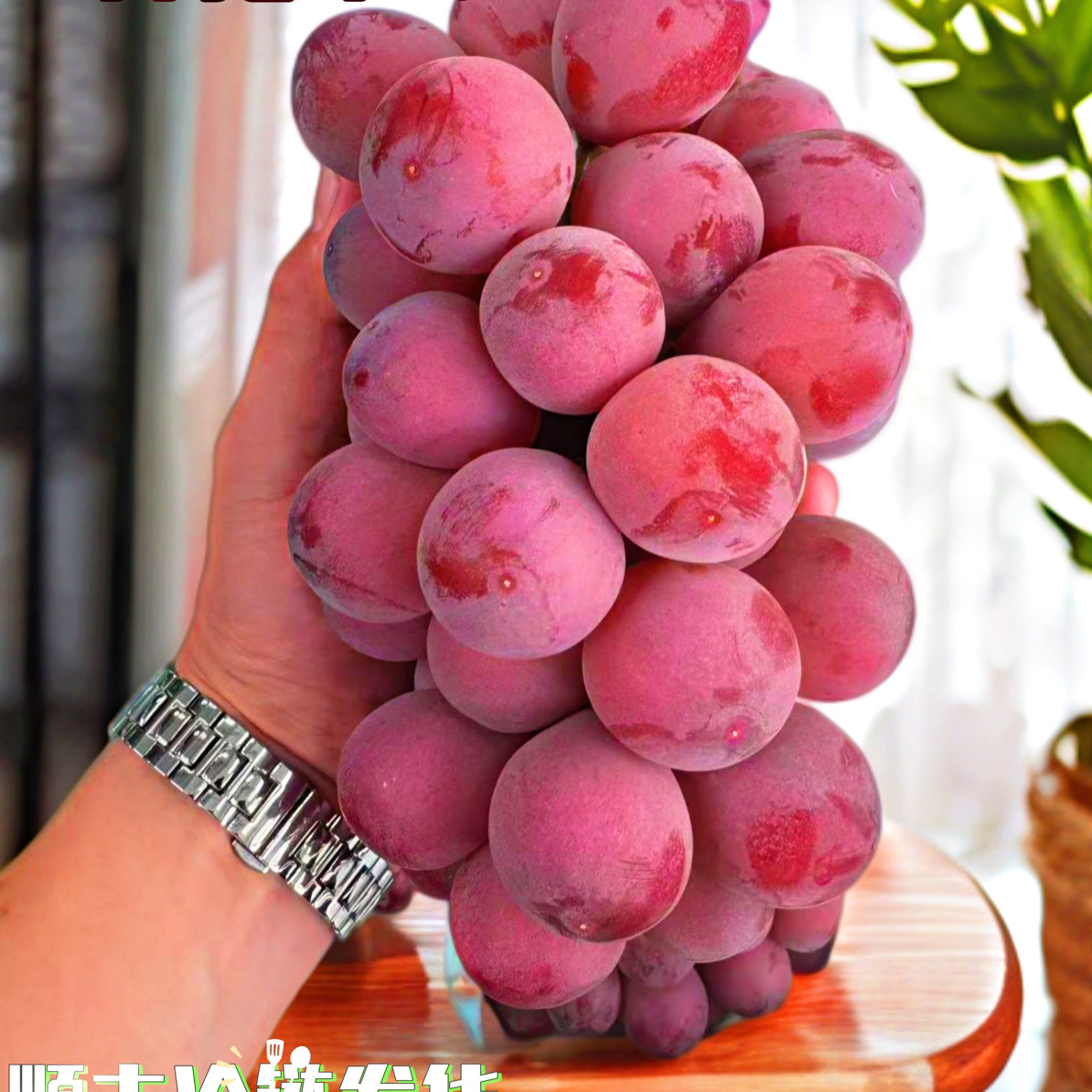 【顺丰空运】妮娜皇后葡萄单果25g+当季水果礼盒送礼套盒顺丰包邮