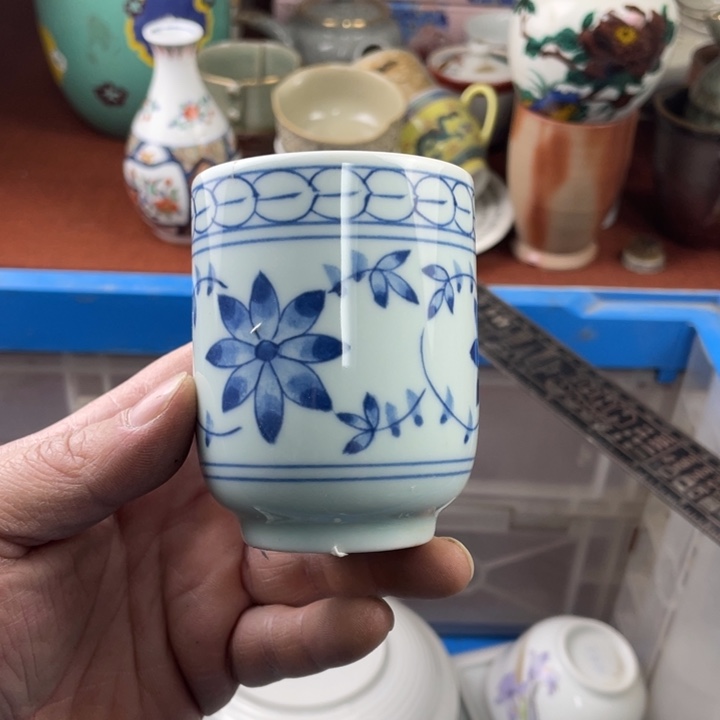 碟开播了开播了开播了