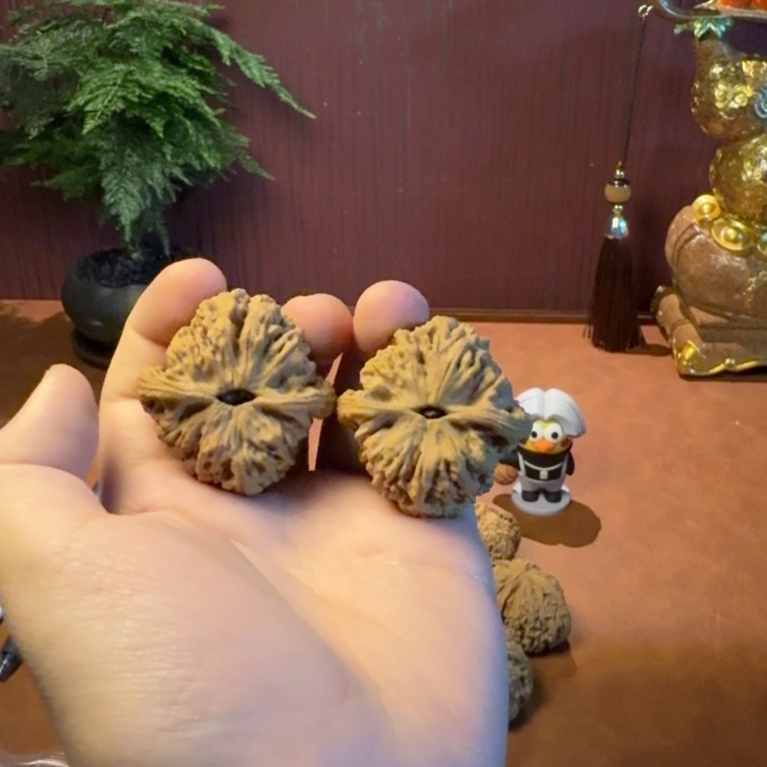 文玩核桃吊坠南将石文玩核桃