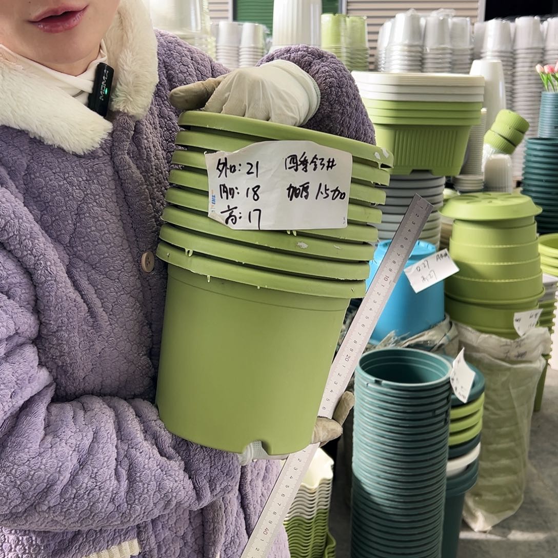 四季盆3#果绿10个无托