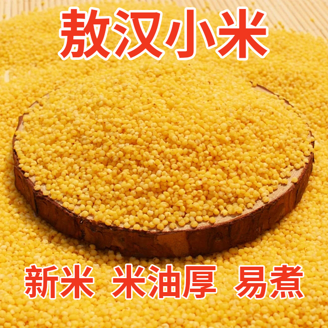 孟克河敖汉小米有机黄小米500g真空装厚米油米