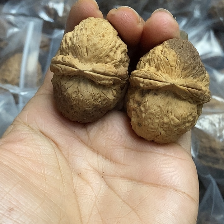 把件文玩核桃云南铁核桃基地17