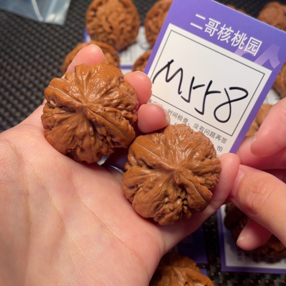 桃核把件M558号霸王龙39