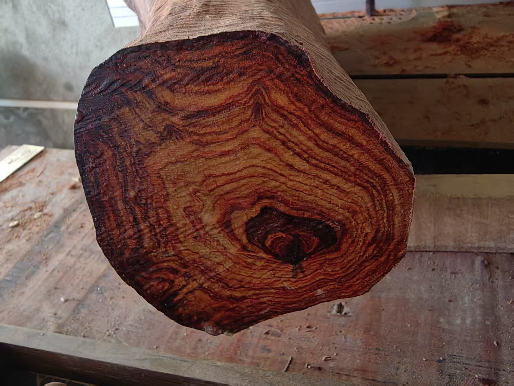 新人福利海南黄花梨1.8单圈13颗手串