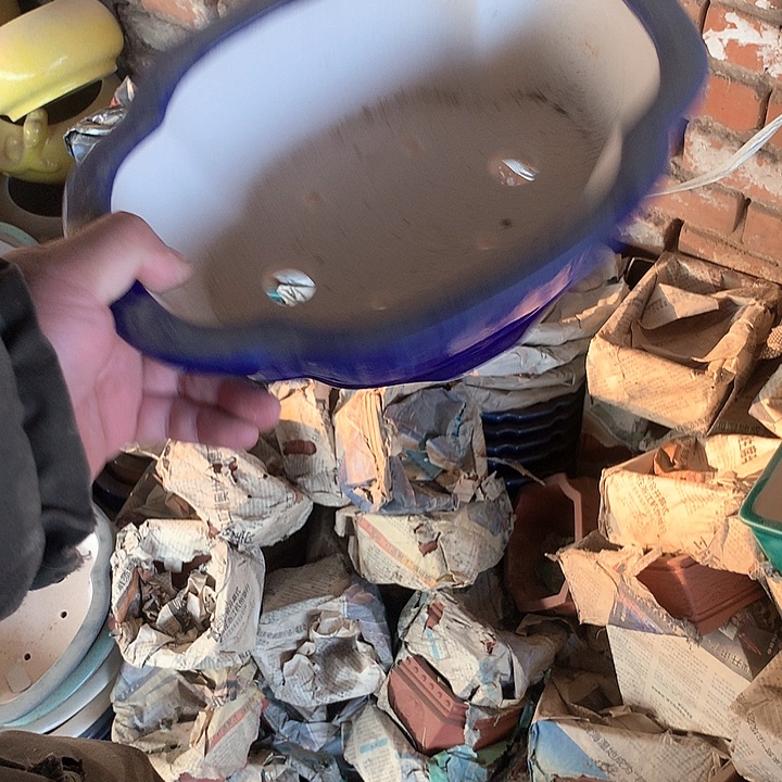 紫砂哈哈真的是太给力太火爆了