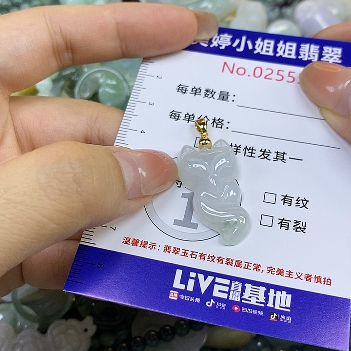 忘***忧翡翠未镶嵌颈饰翡翠