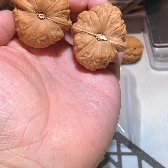 文玩核桃吊坠南瓜墩