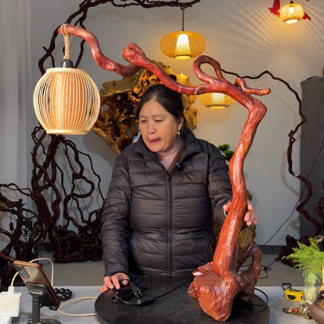 豆***村香榧木杜鹃跟台灯1111111