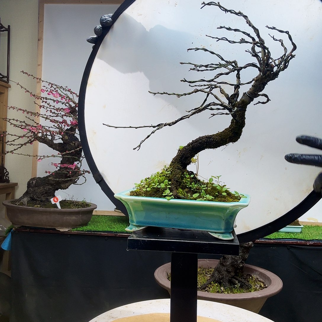 丶***.无花朵大哥不和季军季军