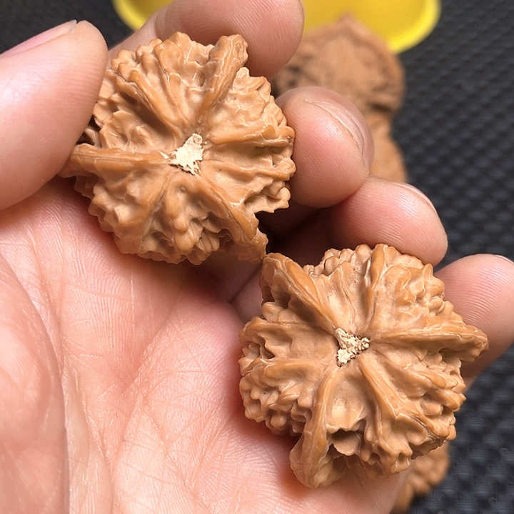 桃核把件树*.37三棱核桃