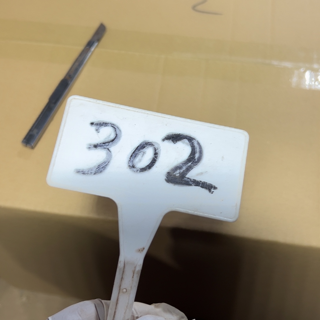 多302肉植物组合法师