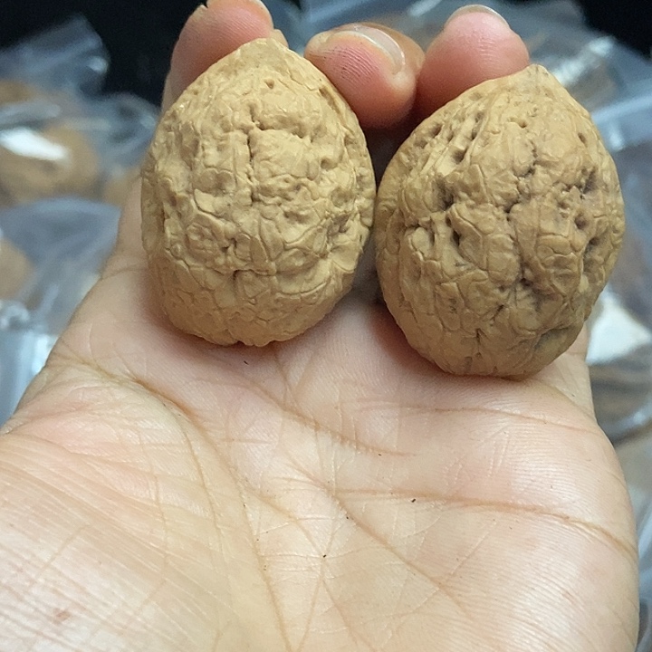 文玩核桃把件云南铁核桃基地36