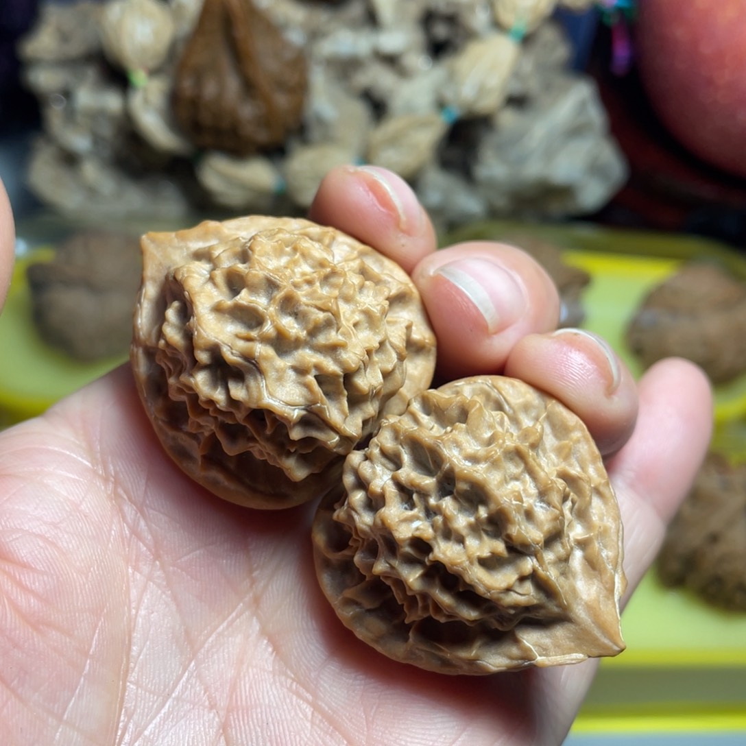 核桃手串/手链精品珊瑚塔33加