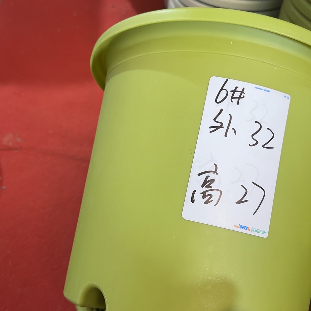 树脂四季6号带托5个果绿