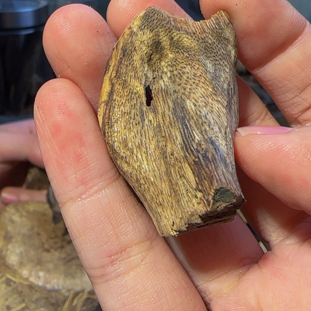 沉香碎屑沉香壳子福利33