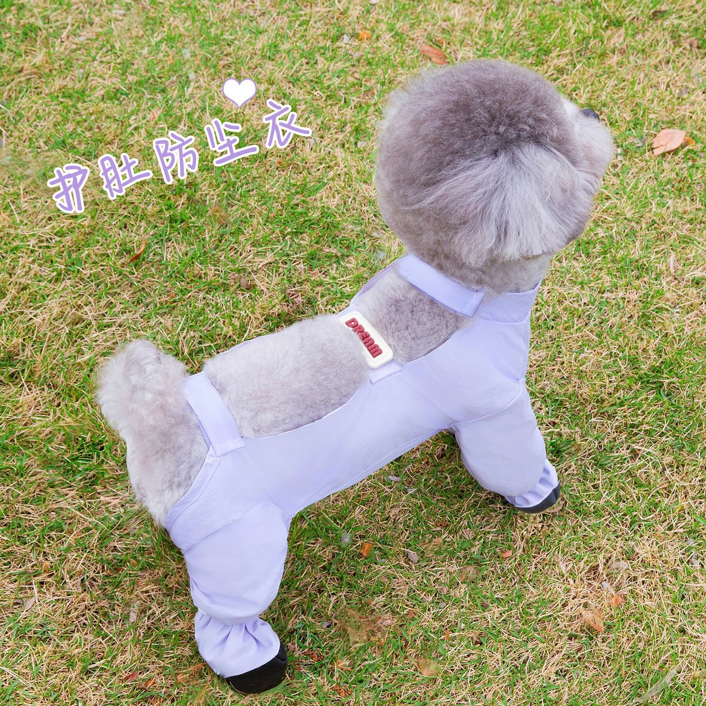 狗狗衣服春秋包脚防脏防尘裤包肚四腿小型犬泰迪宠物