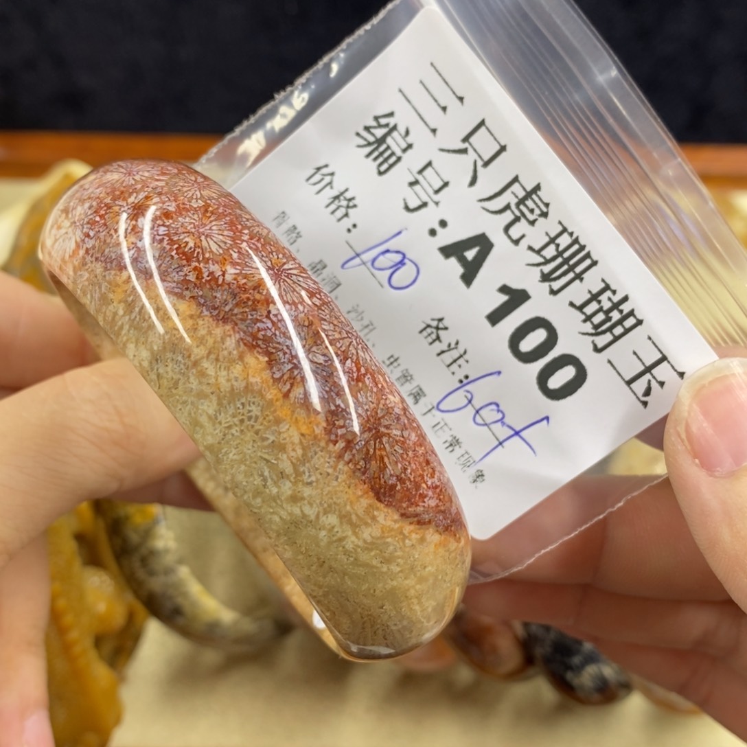 硅化珊瑚（珊瑚玉）1未镶嵌铁***妈