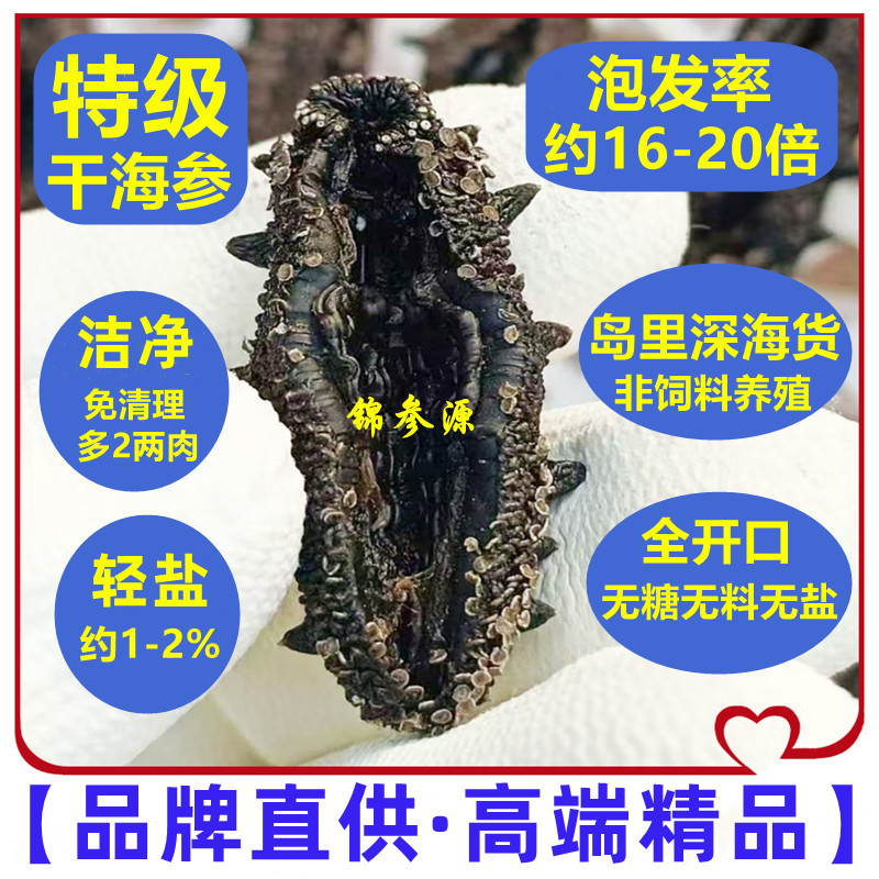 【野货·特级·全开口·洁净·轻盐】干海参100g 盐约1% 泡发约16-20倍
