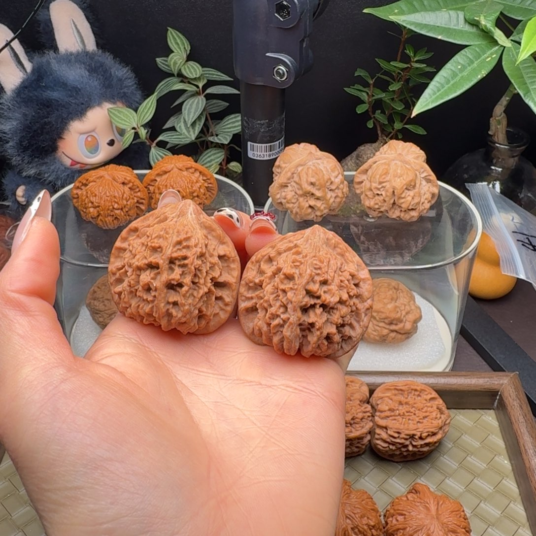 龙脊菩提把件全品满天星41