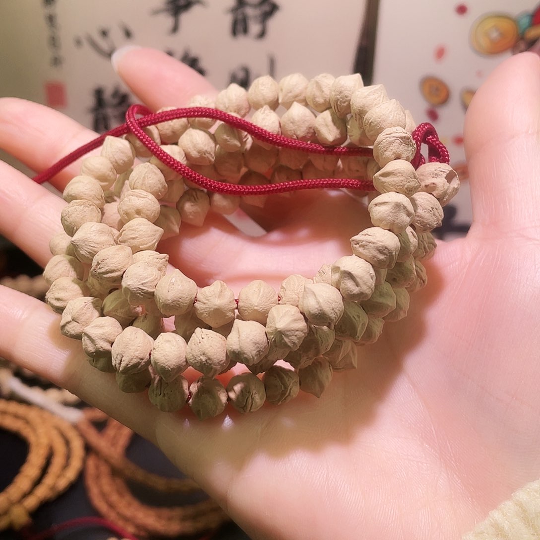 百香籽 横打 原桩 白牙口