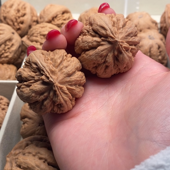 峻***佟把件文玩核桃霸王龙