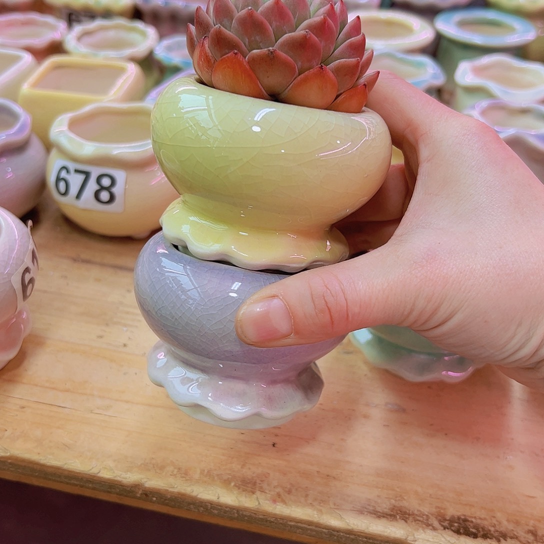 陶瓷花盆当场凑满12包邮