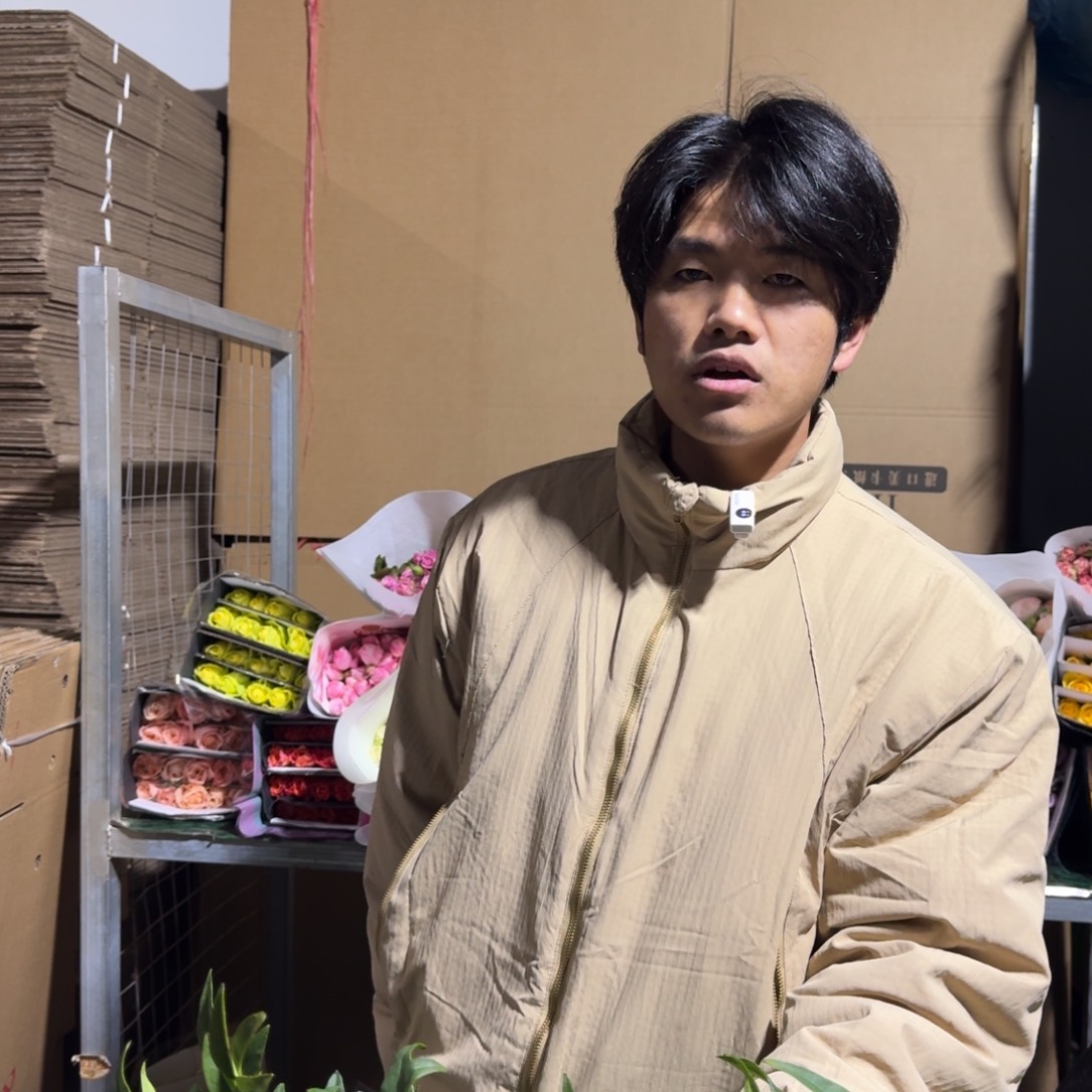 红豆1扎豆小叶黄不售后