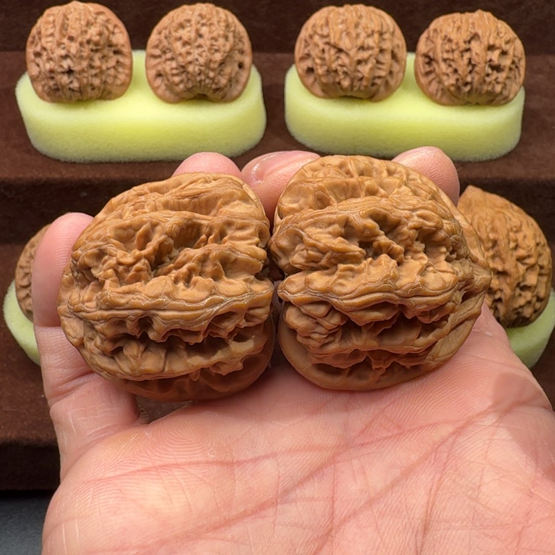 文玩核桃把件大粗筋44