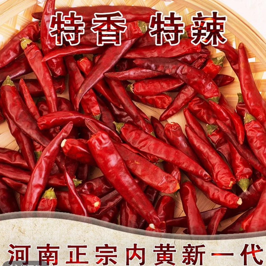 河南内黄新一代干辣椒家用商用新货特辣特香火锅商用辣椒