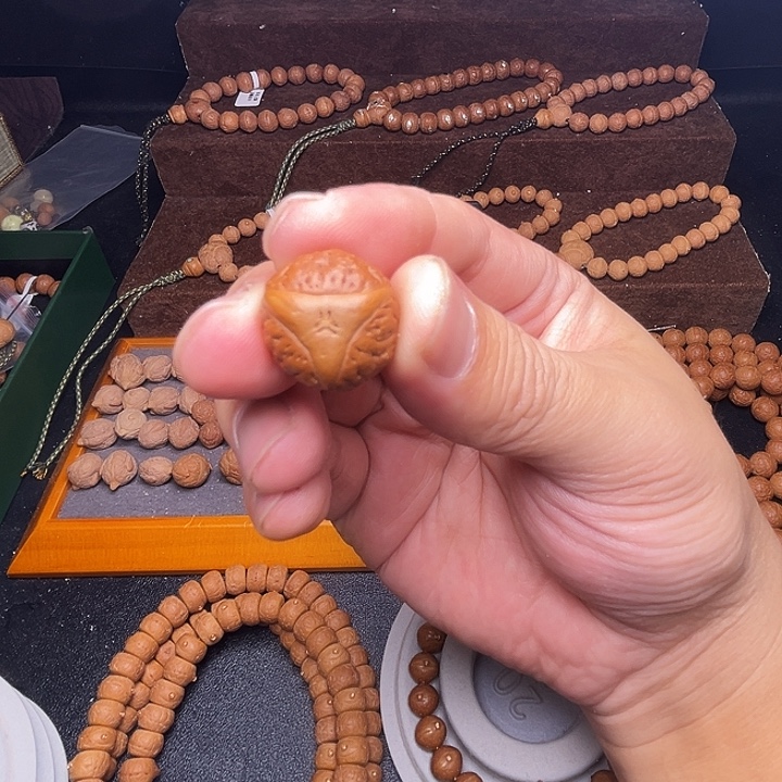 凤眼菩提把件泰坦龙单籽