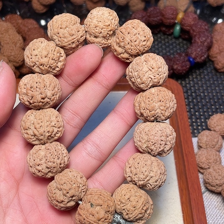 金刚菩提吊坠关****1尼泊尔大金刚菩提